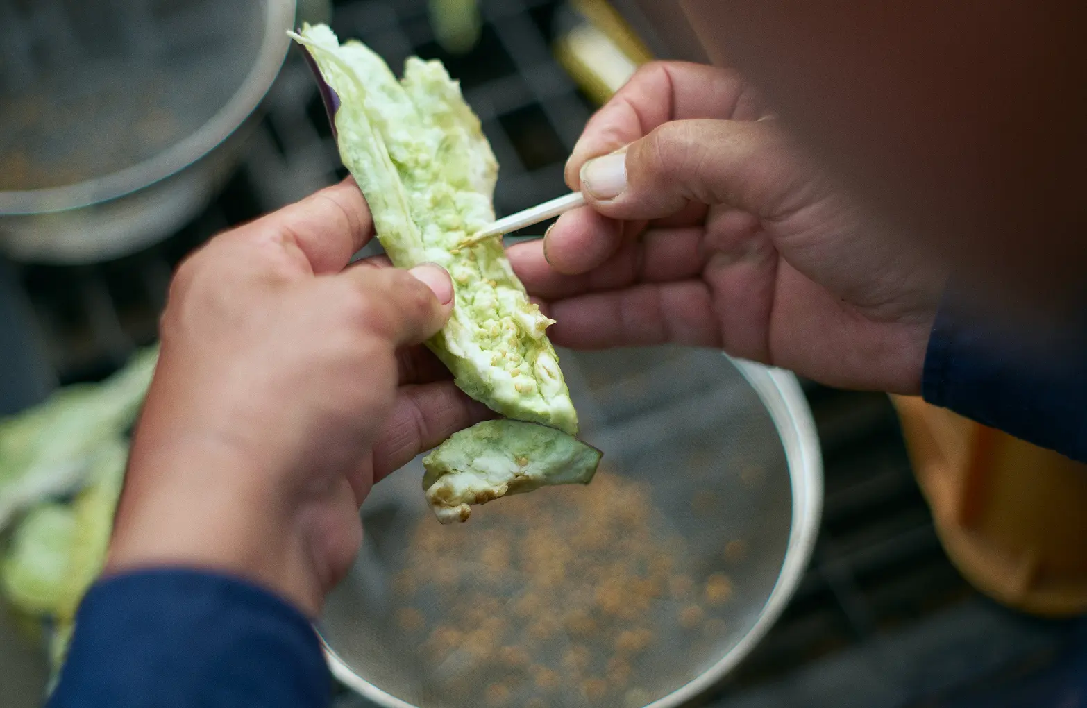 Harvesting seeds from the eggplant