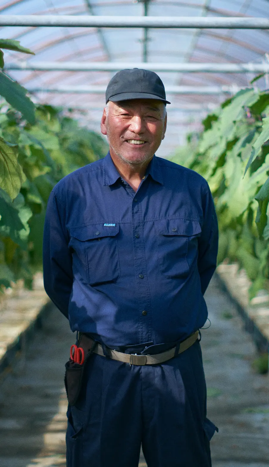 Koichi Saito, a Sadowara Eggplant farmer