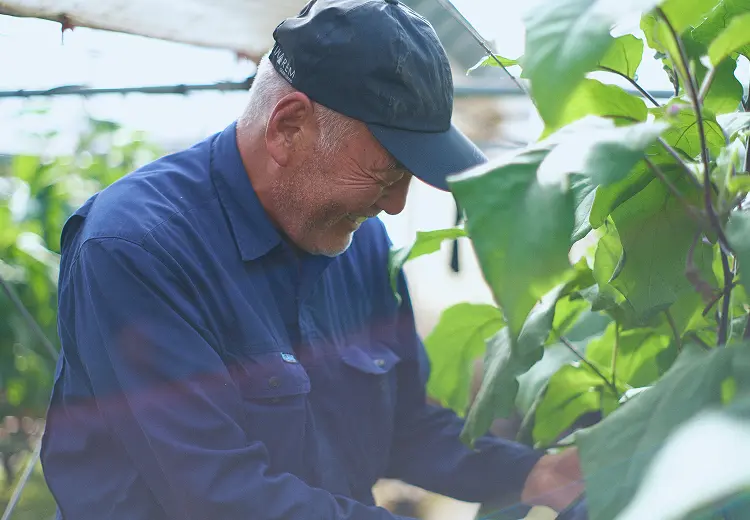 Profile photo of Koichi Saito
