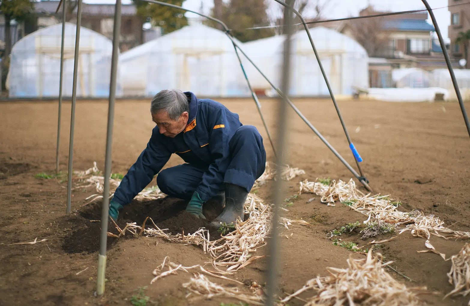 Waseda Myoga field in winter