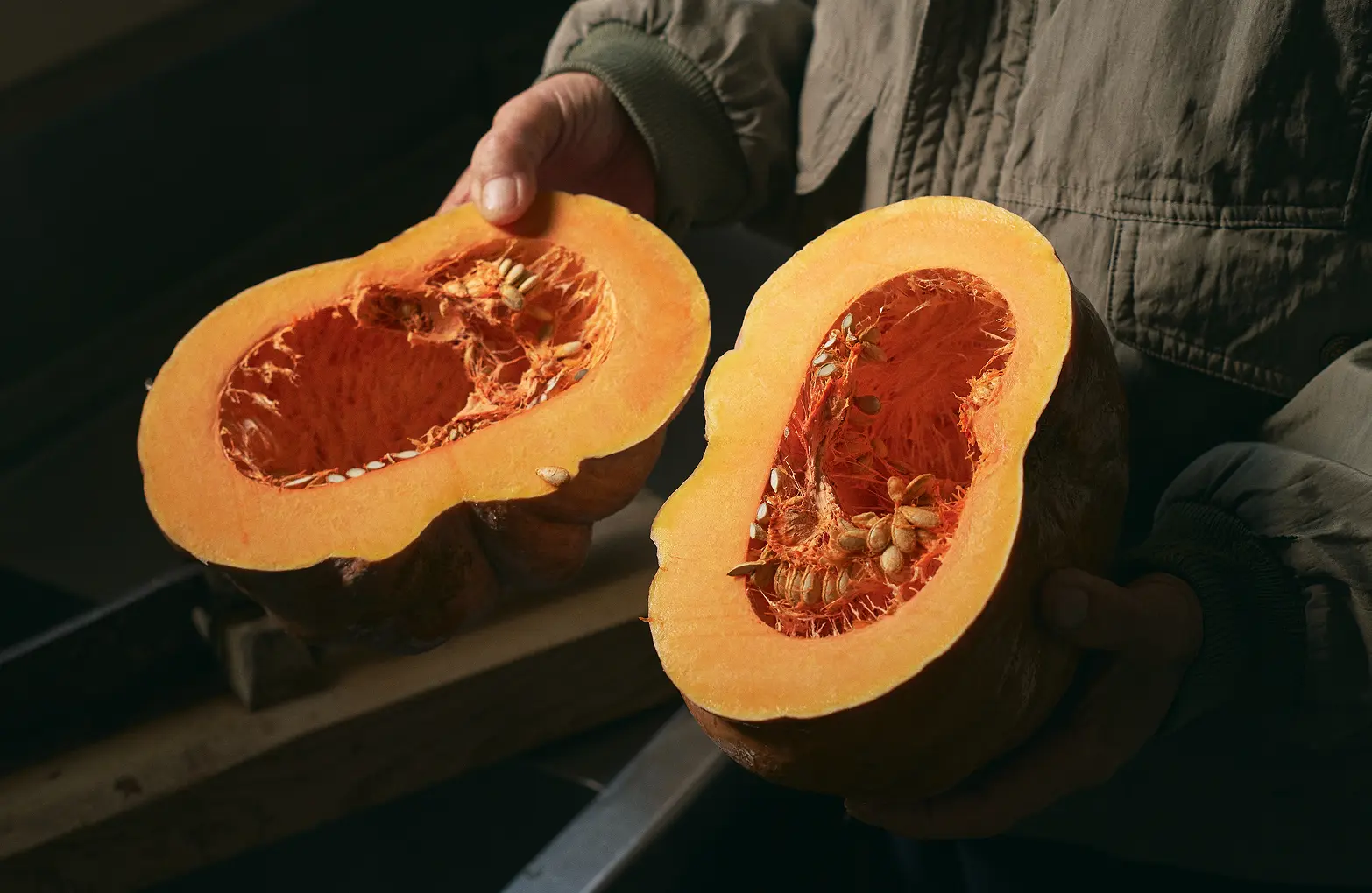 Cross section of a Mikekado Pumpkin