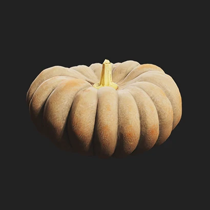 Mikekado Pumpkin