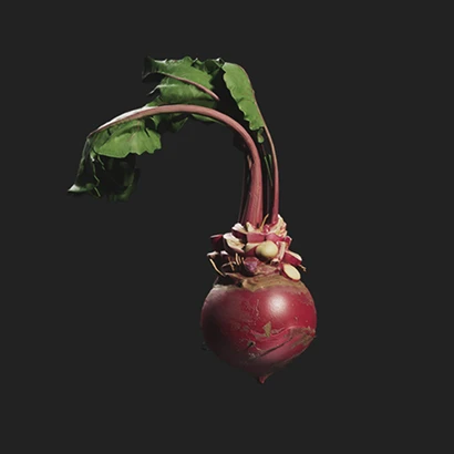 Sugihashi Red Turnip