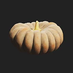 三毛門カボチャ